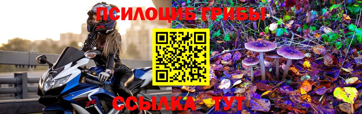Псилоцибиновые грибы MAGIC MUSHROOMS  Вход с VPN  Корсаков 