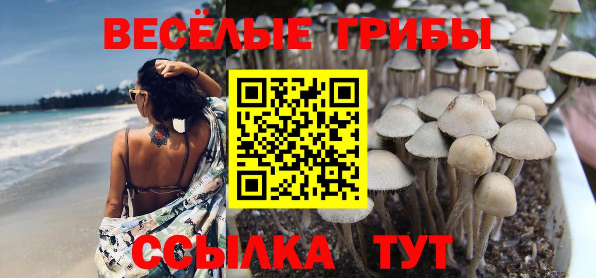 Псилоцибиновые грибы MAGIC MUSHROOMS Корсаков
